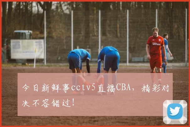 今日新鲜事cctv5直播CBA，精彩对决不容错过！
