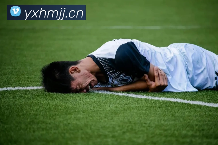 乐鱼注册入口APP 封面图